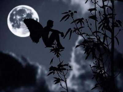 Ascolta i passi furtivi della notte