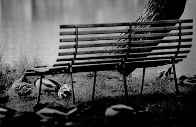 La Notte non si chiede chi Io Sia