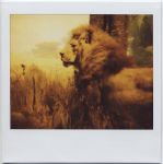 Hic sunt leones
