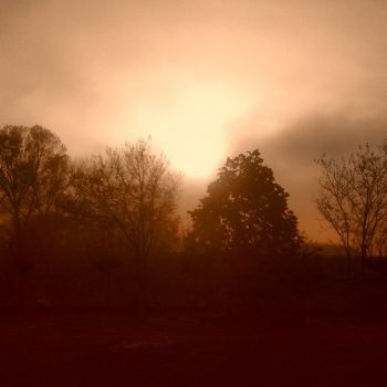 Nebbia