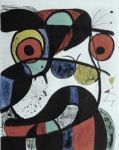 La collezione d'insetti