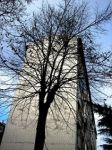 Anticipazione