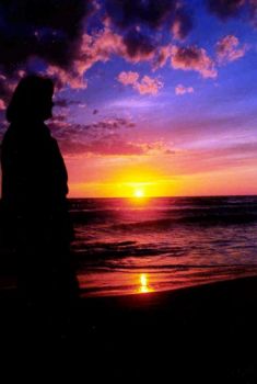 Cosa c'� in un giorno che muore