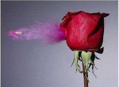 Slow motion