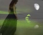 Voce  
