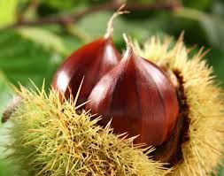 Autunno