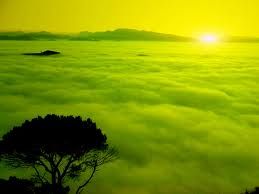 Nebbia Silente
