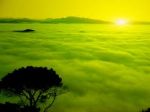 Nebbia Silente