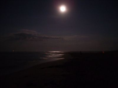 Spiaggia scura