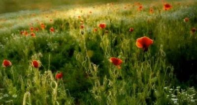 L'ultima poesia