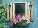 Non basta l�Amore