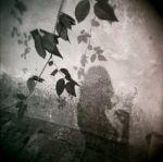 Scappa via la tua ombra