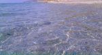 Rientro