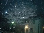 Neve, per esser uomo