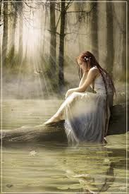 Dal mio rifugio 12