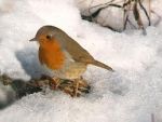 Aspettando il Natale