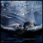 Aspetti la notte