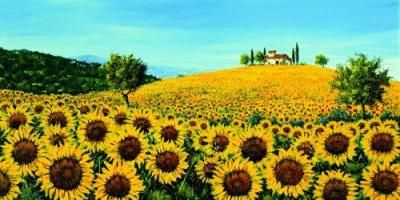 Girasoli