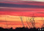 Ho visto l'alba