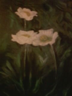Dai candidi fiori