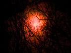 Collapse the dark into light