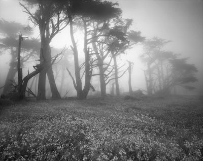 Foggy breath