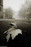 L'autunno dentro