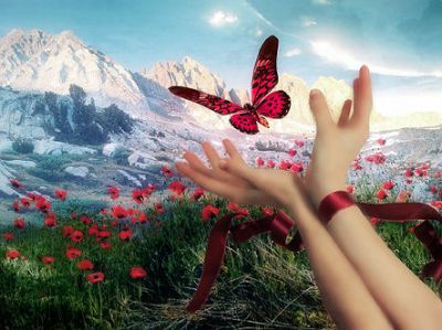 Liberi di volare