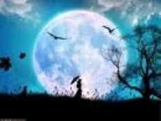 La Notte verrà