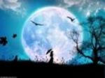 La Notte verrà
