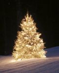 L�albero di Natale