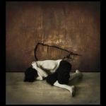 Prima notte  