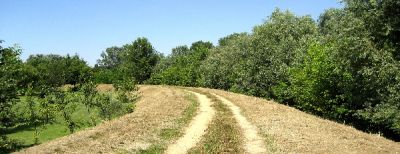 Sui miei passi