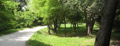 Giardini