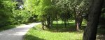 Giardini