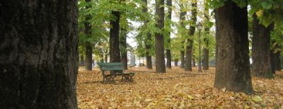 Solitudine