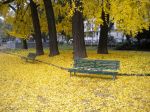 Malinconico autunno