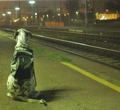 Il pendolare