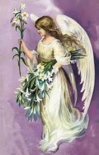Un fiore sempre verde