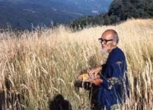 Questa società è sommersa