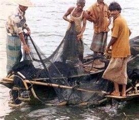 Nel mare è il mio pensiero