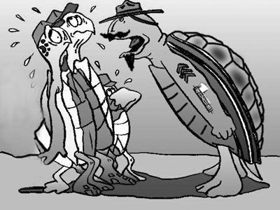 Integralismo