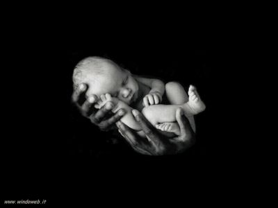 Il figlio  