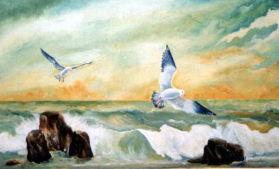 Volo libero