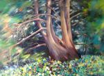 L'albero degli impiccati