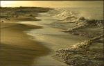Come marea
