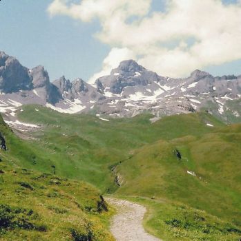 Sei raro