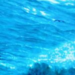 Il nome del mare