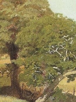 Radura