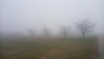 Qualcosa di fatato
